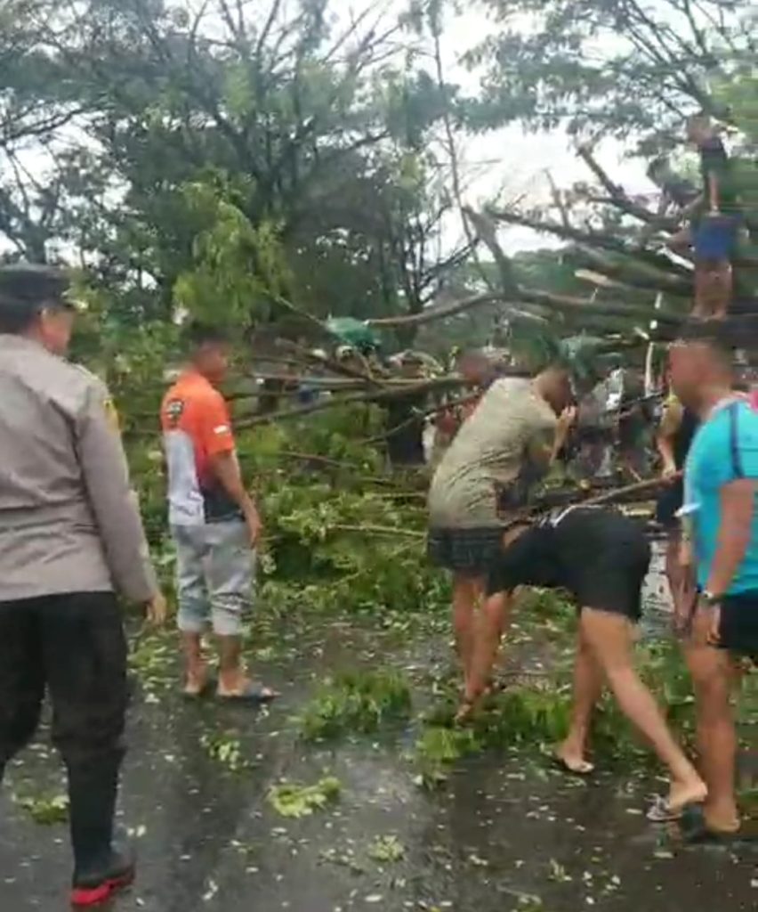 Aksi Cepat Tanggap, Sinergitas TNI-Polri Bersama Warga Evakuasi Pohon Tumbang di Jalan Perintis Kemerdekaan Tamanrea
