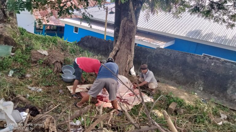 SMAN 2 Pare-Pare Potong 5 Sapi Kurban